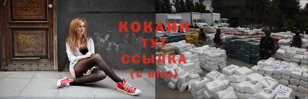сатива Сафоново