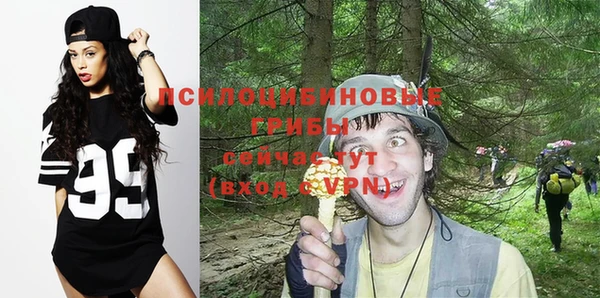 сатива Сафоново