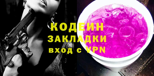 индика Сатка