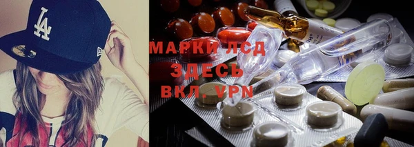гидра Абаза