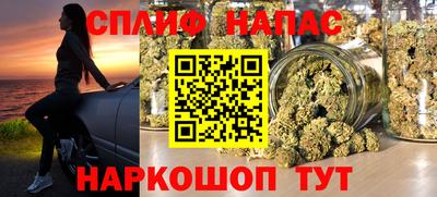стаф Владикавказ