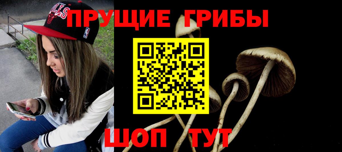 Галлюциногенные грибы ЛСД  Галлюциногенные грибы Psilocybine cubensis  Дальнереченск  Вход с VPN 