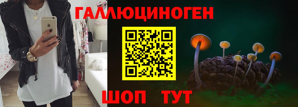 Псилоцибиновые грибы Psilocybe Дальнереченск